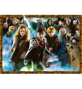 Harry Potter The Sorcerer's...